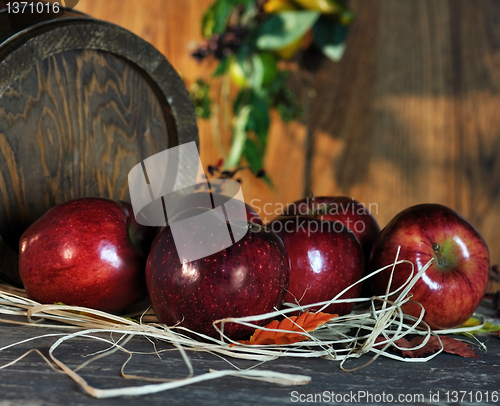 Image of Red apples 