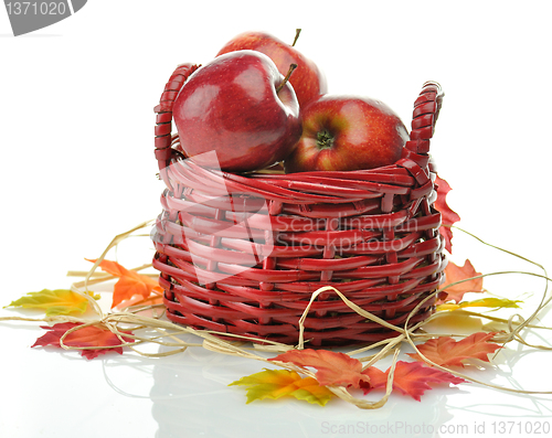 Image of Red apples in wood basket 