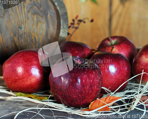 Image of Red apples