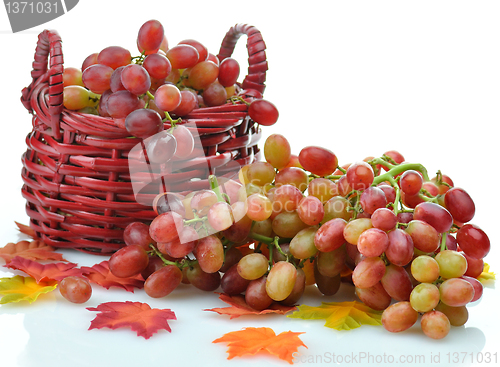 Image of fresh grape 