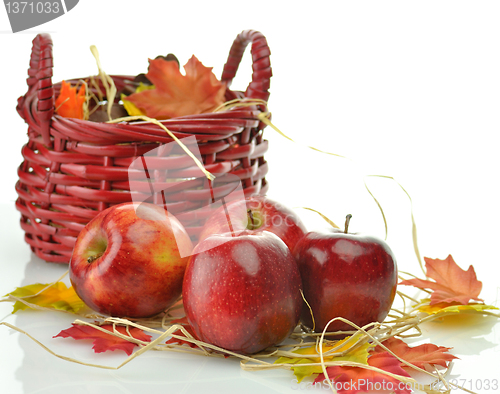 Image of Red apples and wooden basket