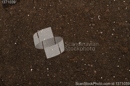 Image of peat soil 