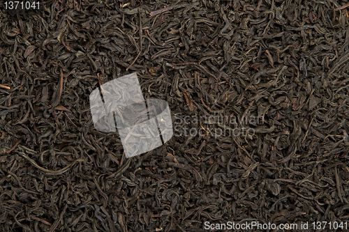 Image of green tea