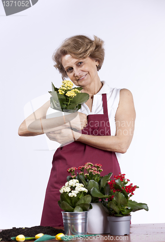 Image of Senior woman planting flowers