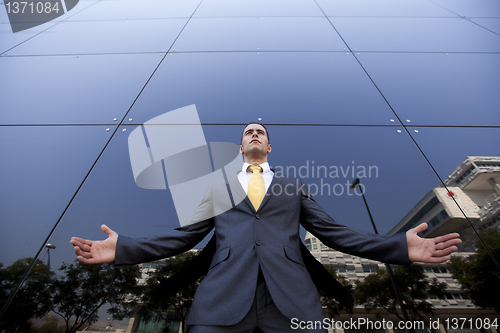 Image of Confident young businessman