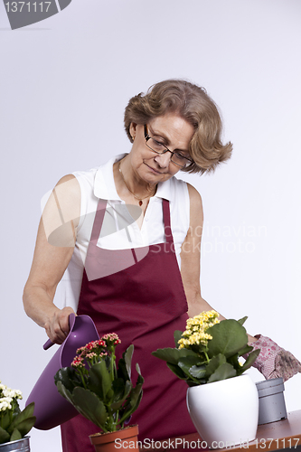 Image of Senior woman planting flowers