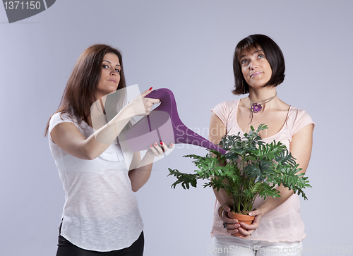 Image of Two woman gardening