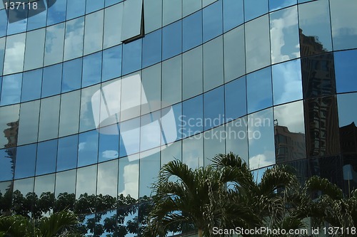 Image of Palm tree reflections