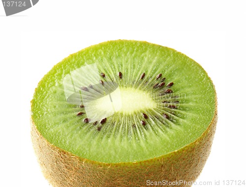 Image of Kiwi