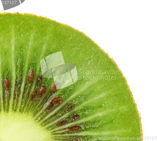 Image of Kiwi