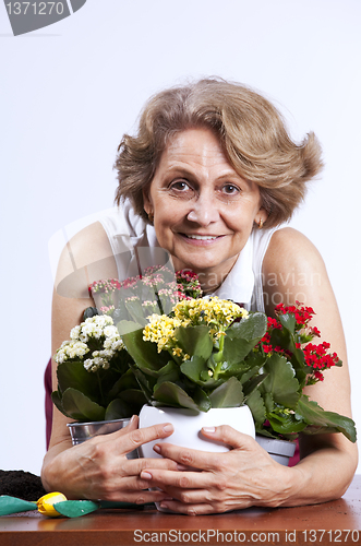 Image of Senior woman planting flowers