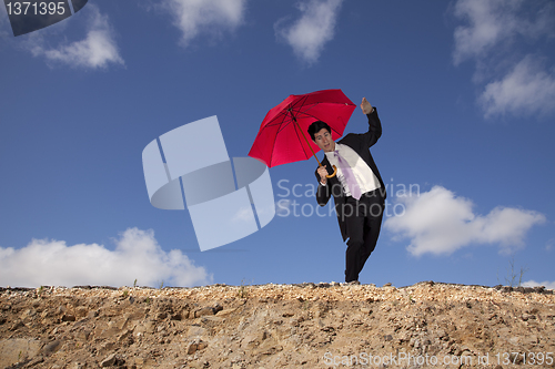 Image of Insurance Risk