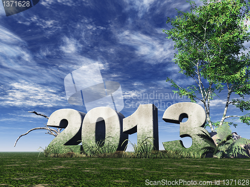 Image of year 2013