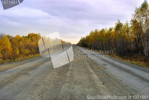 Image of Autumn road