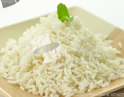 Image of White steamed rice