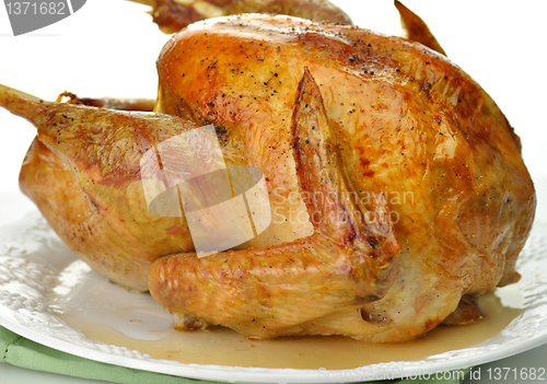 Image of roasted turkey