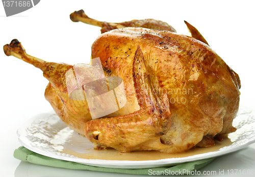 Image of roasted turkey 