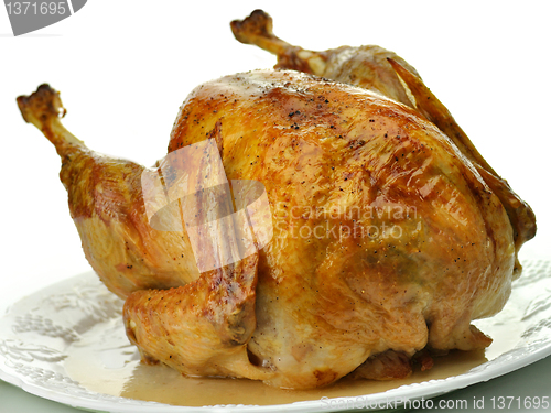 Image of roasted turkey