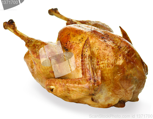 Image of roasted turkey 