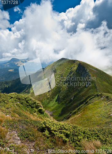 Image of Hiking: Carpathian mountains landscape