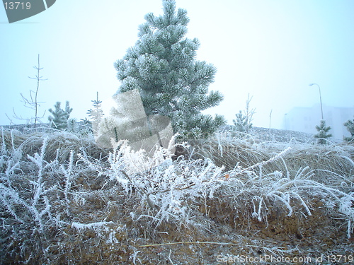 Image of cold and lonely