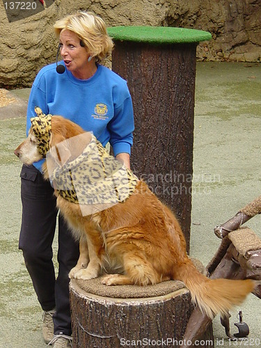 Image of Animal Show