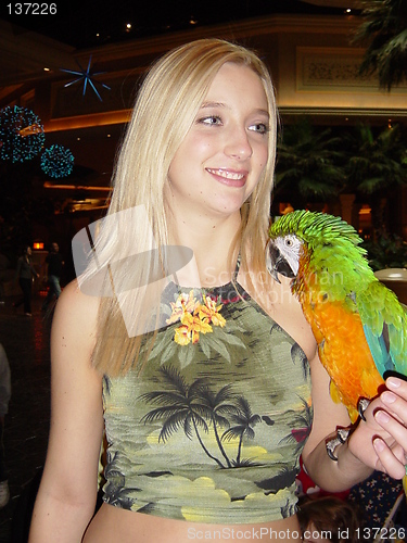 Image of Parrot Show