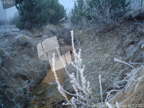 Image of frosty straw