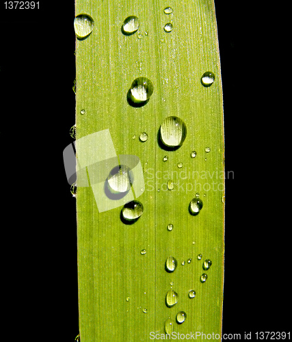 Image of no caption