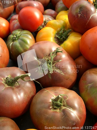 Image of heirloom tomatoes