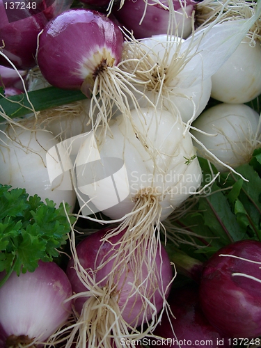 Image of onions