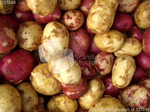 Image of fresh potaotes