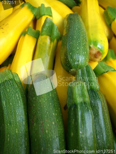 Image of squash