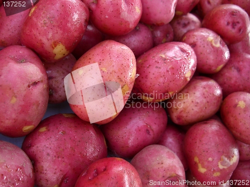 Image of baby reds