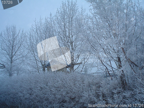 Image of bird house