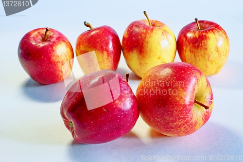 Image of apples  