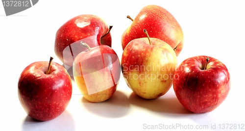 Image of apples 