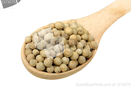 Image of white pepper in a wooden spoon