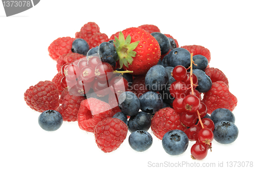 Image of Berry fruits