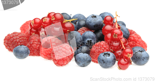 Image of Berry fruits