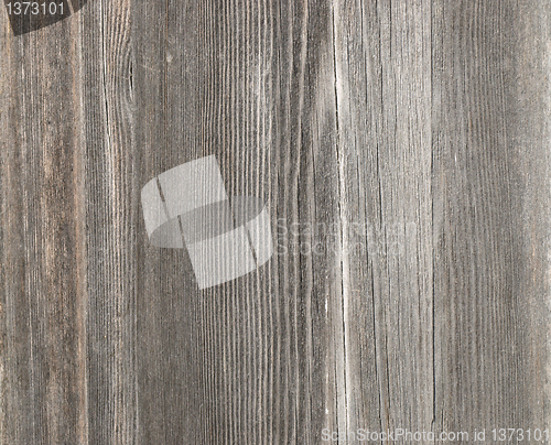 Image of Old wood texture