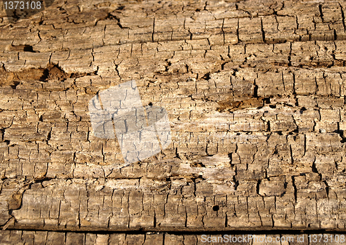 Image of Old wood texture