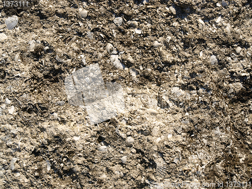 Image of Sandstone texture