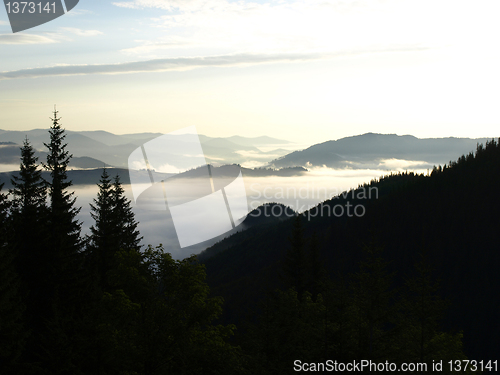 Image of Misty valley