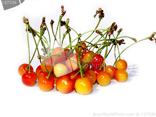 Image of Cherries