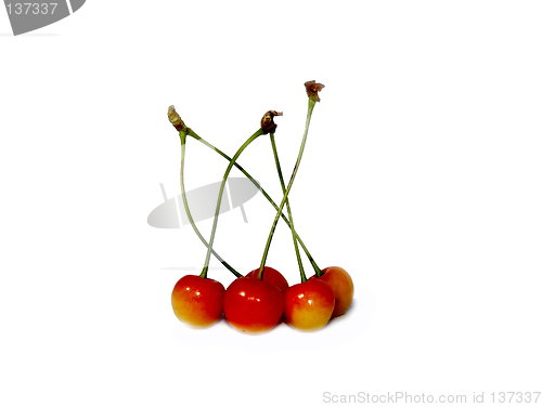 Image of Cherries