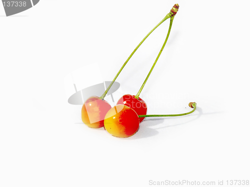 Image of Cherries