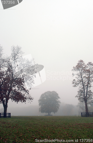 Image of autumn foggy scene