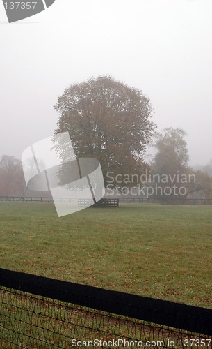Image of foggy fall morning