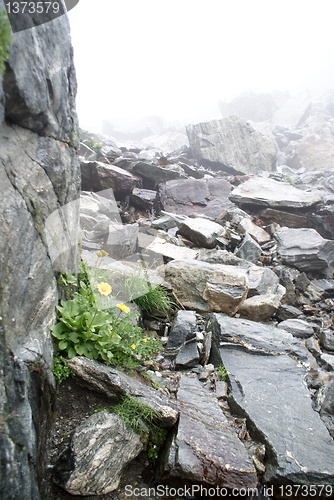 Image of hiking in frensh alpes in summer